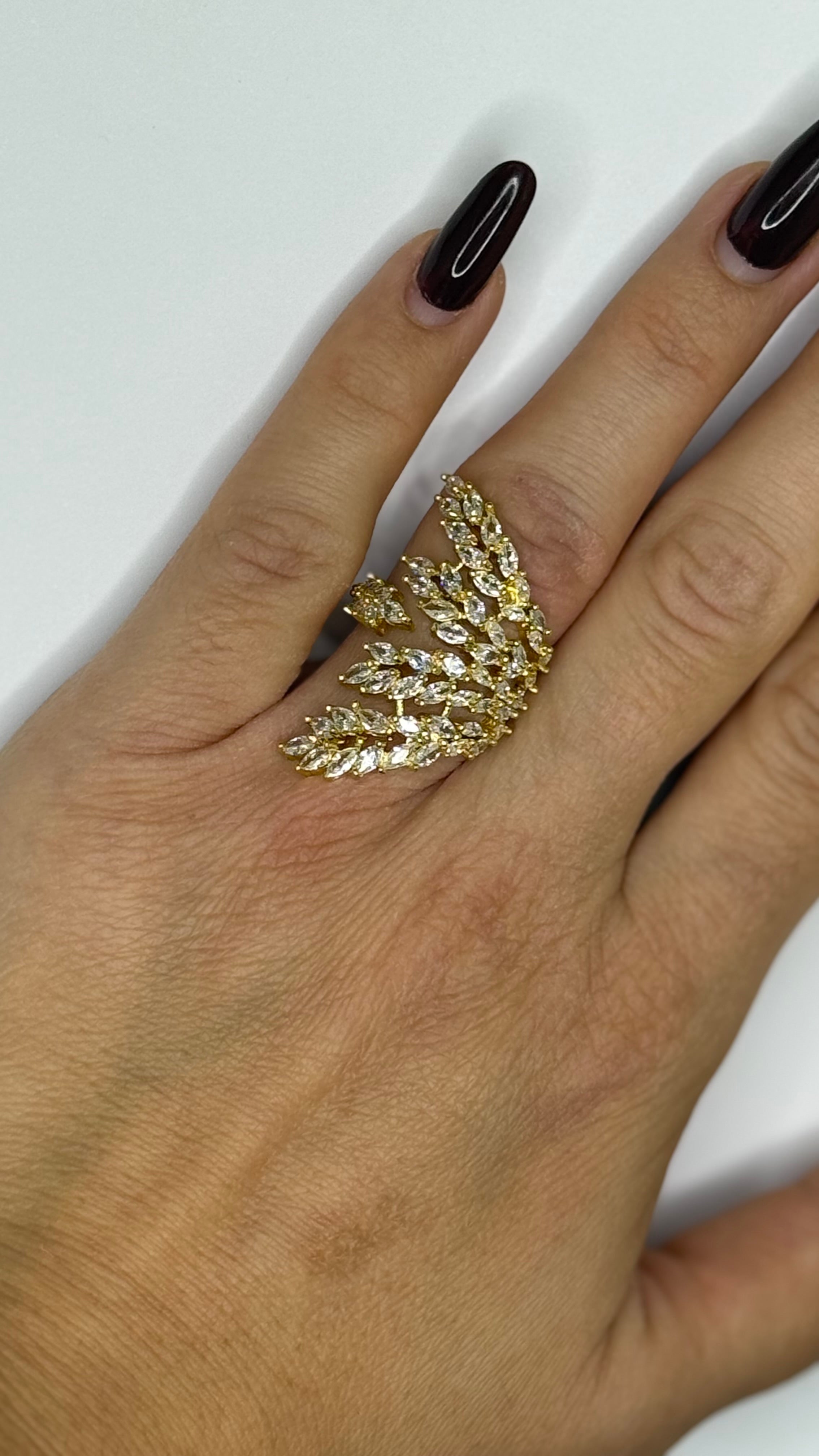 Anello rami